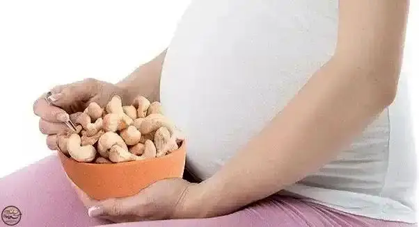 
آیا مصرف مغزدانه‌ها در دوران بارداری ممنوع است؟
