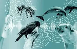 هوش مصنوعی به ما کمک خواهد کرد تا نام مخفی حیوانات را کشف کنیم!