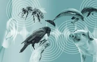 هوش مصنوعی به ما کمک خواهد کرد تا نام مخفی حیوانات را کشف کنیم!