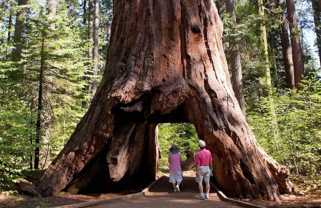 20 منظرۀ شگفت‌انگیز طبیعی که دیگر وجود ندارند