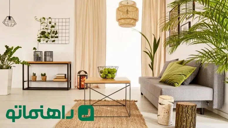 دکوراسیون سبز؛ بهترین گیاهان آپارتمانی برای اتاق نشیمن