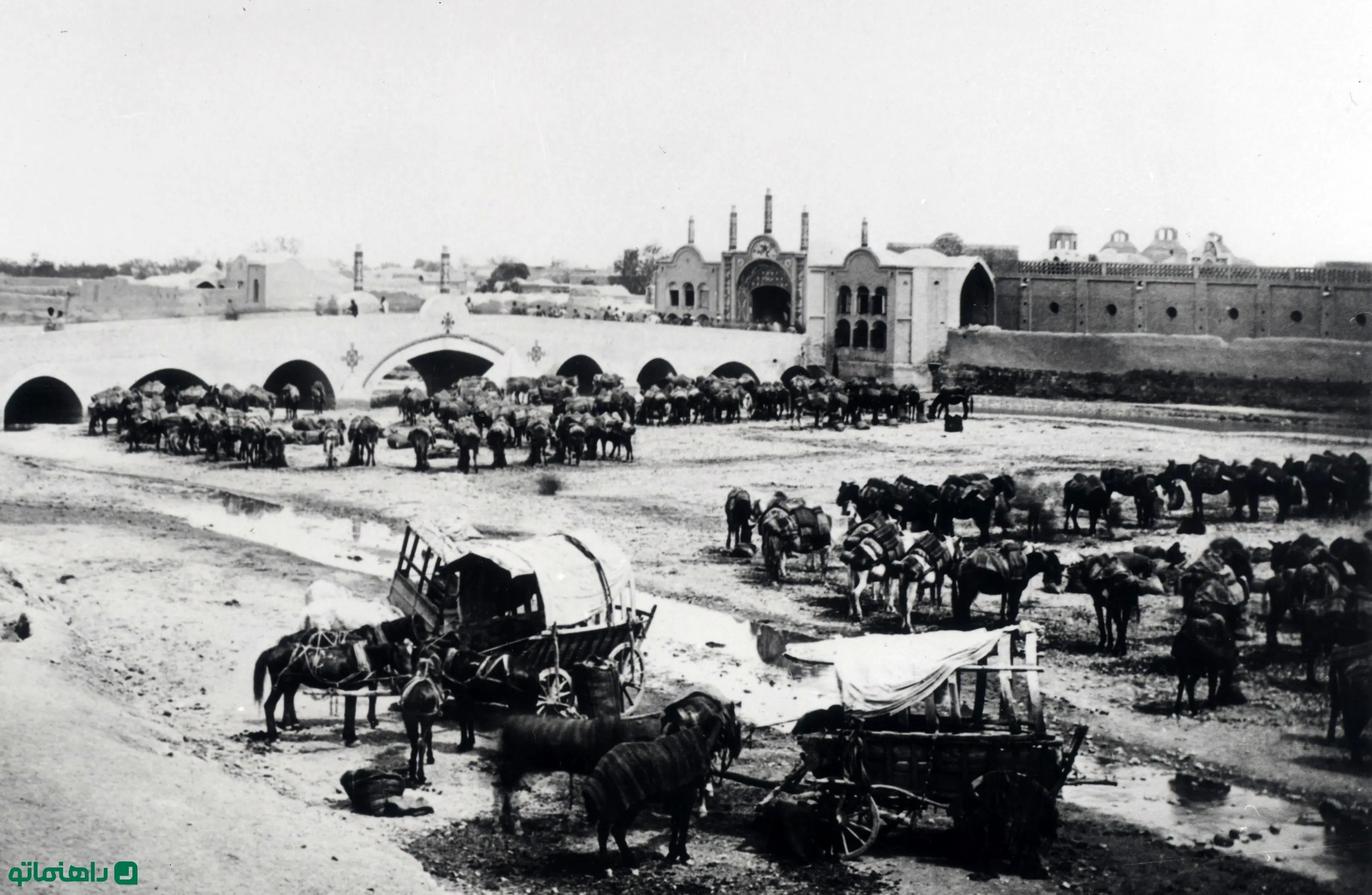 قاطرهای شاه کنار دروازه شهر قم، 140 سال قبل + عکس