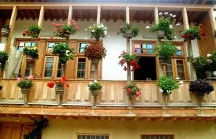 گیاهان آپارتمانی که حس و حال خانه‌های قدیمی ایرانی را دارند