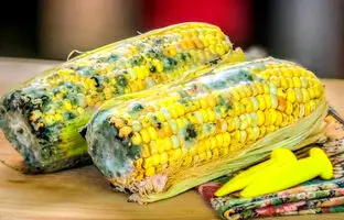 غذای کپک زده خطرناک است؟