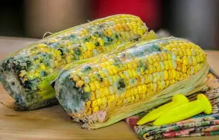 غذای کپک زده خطرناک است؟