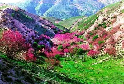 راهنمای سفر: دره ارغوان، یکی از زیباترین و بکرترین مناطق طبیعی ایران