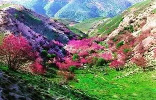 راهنمای سفر: دره ارغوان، یکی از زیباترین و بکرترین مناطق طبیعی ایران