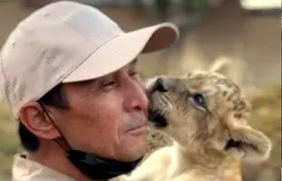 دیدار احساسی توله شیر با نگهبان باغ‌وحش + ویدئو
