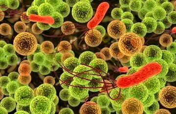 «روزه» چه‌طور مانع ابتلای بدن به سرطان می‌شود