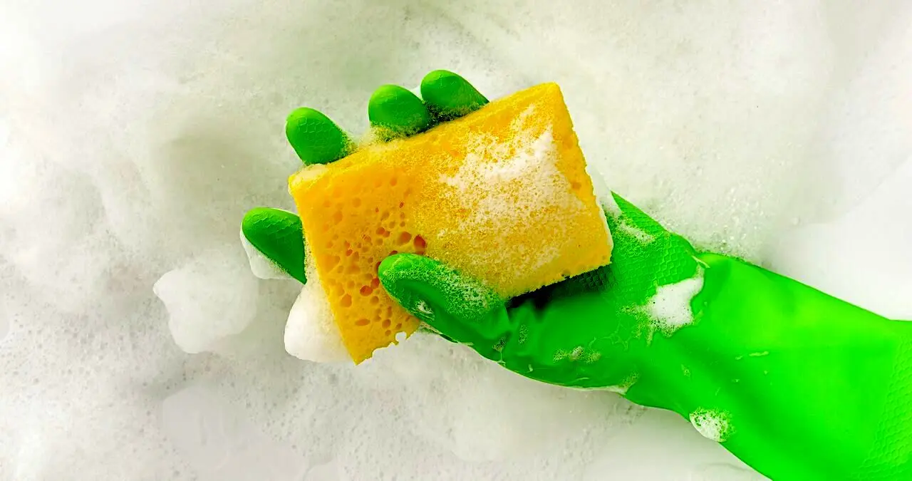 اسکاچ ظرفشویی محل زندگی هزاران باکتری است؛ راه حل چیست؟