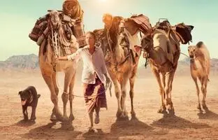بهترین فیلم ها برای سفر های نوروزی