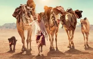 بهترین فیلم ها برای سفر های نوروزی