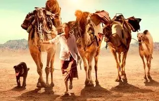 بهترین فیلم ها برای سفر های نوروزی