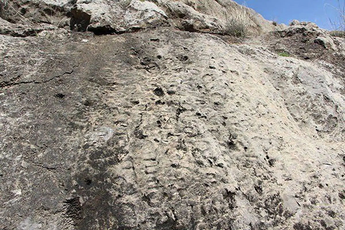 خوانش بخش‌هایی از کتیبه ساسانی که در حال غرق شدن است