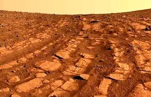 معمای «عنکبوت‌های غول‌پیکر عجیب» در مریخ حل شد!