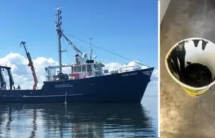 کشف موجود زنده ناشناخته در روغن سیاهِ اسرارآمیز کشتی