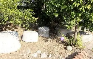 شناسایی پایه ستون‌های ساسانی که در یک خانه شخصی رها شده‌اند! 