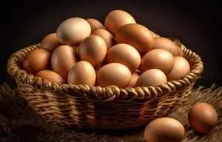 چگونه تخم مرغ خام را در خانه پاستوریزه کنیم؟