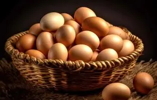 چگونه تخم مرغ خام را در خانه پاستوریزه کنیم؟
