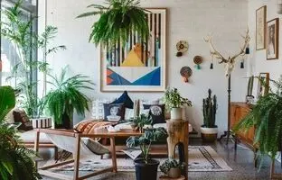 زیباترین گیاهان آپارتمانی برای دکوراسیون خانه ایرانی