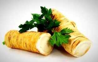 ترب کوهی و شربت آن چیست و چه خواصی دارد؟ + روش مصرف