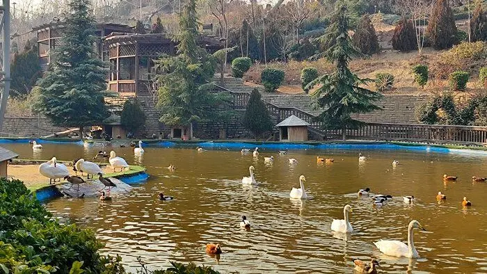 راهنمای سفر: باغ پرندگان تهران، زیبایی‌هایی برای کودکان و گردشگران