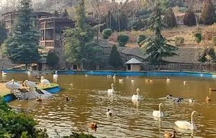 راهنمای سفر: باغ پرندگان تهران، زیبایی‌هایی برای کودکان و گردشگران