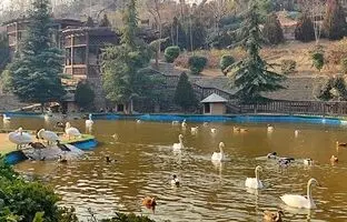 راهنمای سفر: باغ پرندگان تهران، زیبایی‌هایی برای کودکان و گردشگران