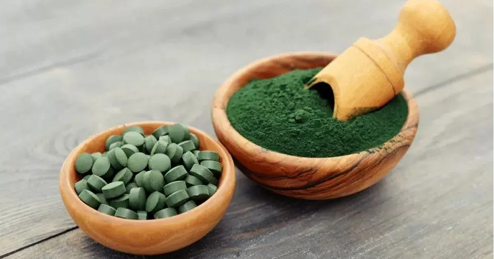 پودر جلبک دریایی واقعا لاغر می‌کند؟