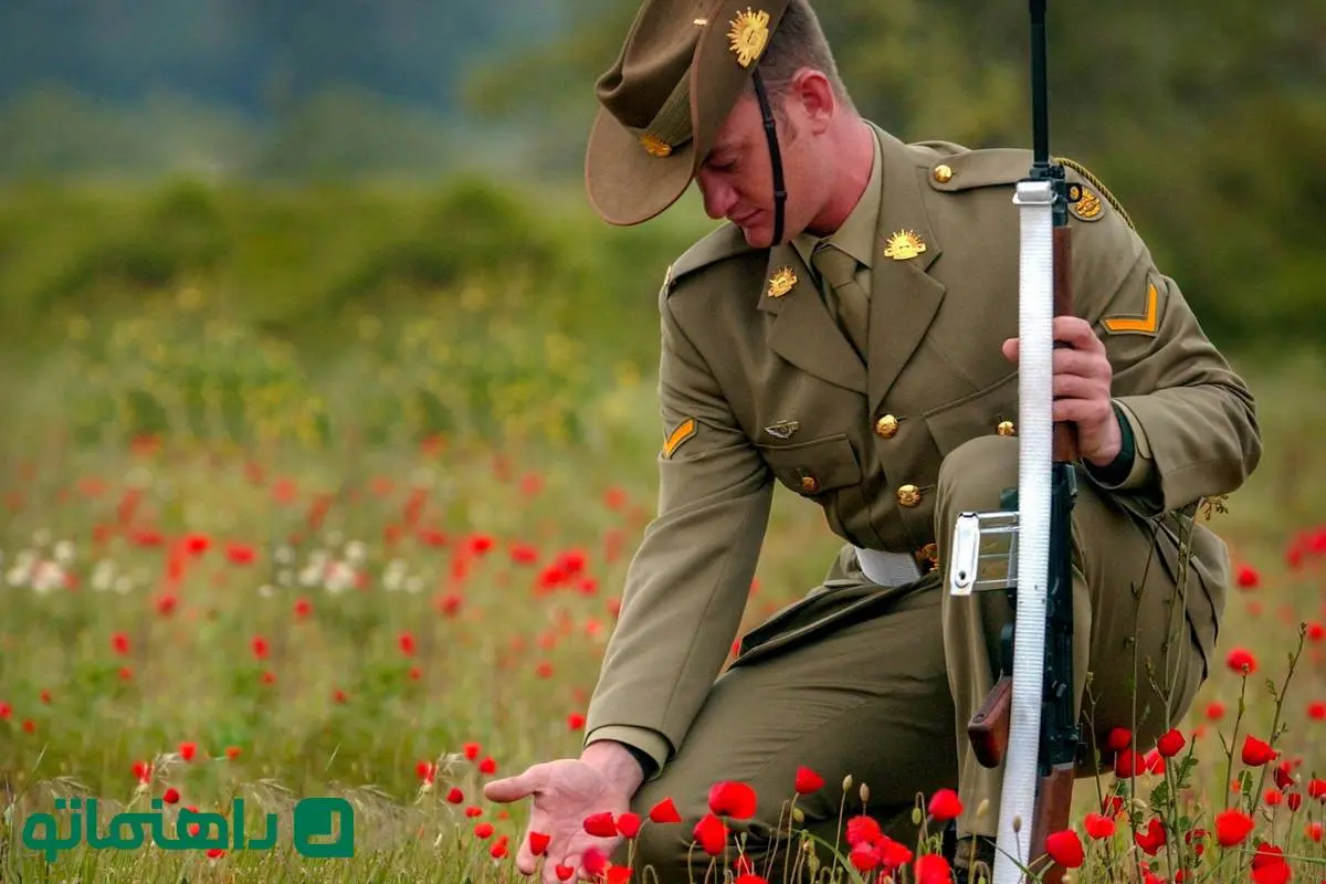 زبان خاموش گل‌ها؛ ۴ گل که نماد صلح هستند