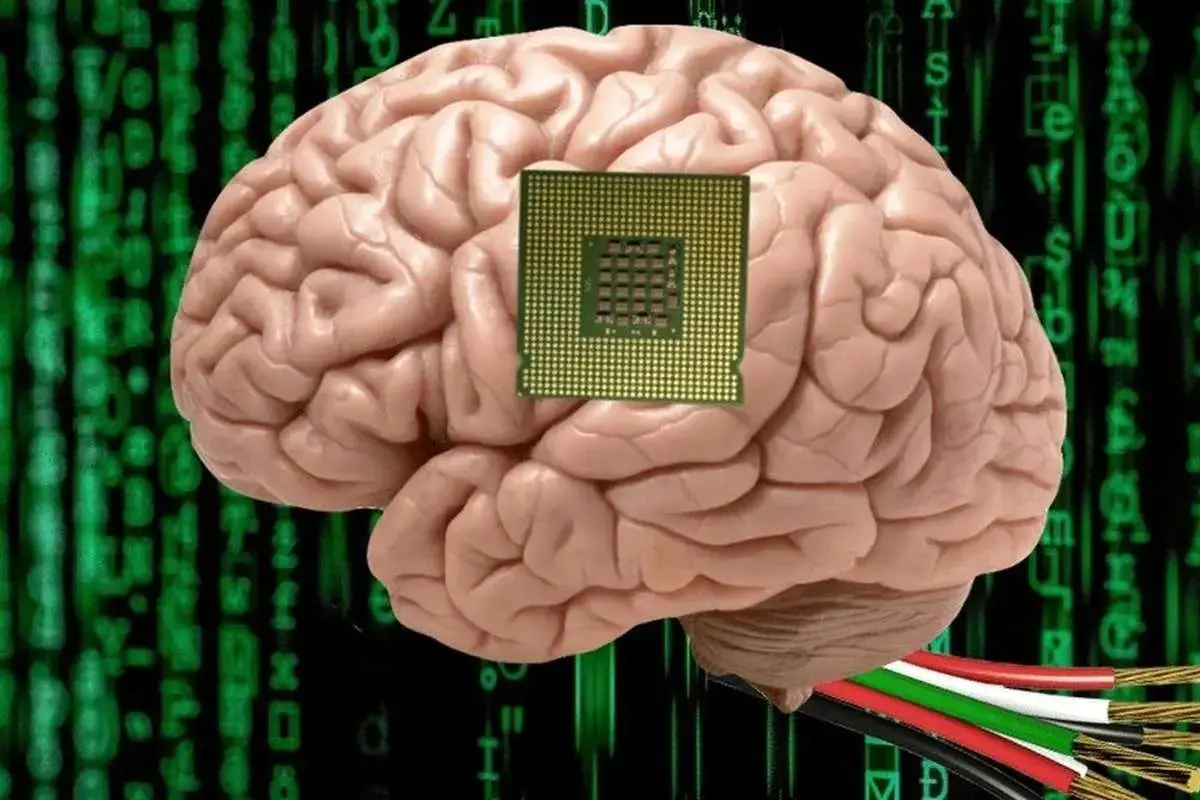  آیا واقعا می‌توان ذهن انسان را در رایانه ریخت؟ 