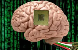  آیا واقعا می‌توان ذهن انسان را در رایانه ریخت؟ 