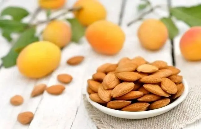 خوردن هسته این میوه خوشمزه تابستانی ممنوع!