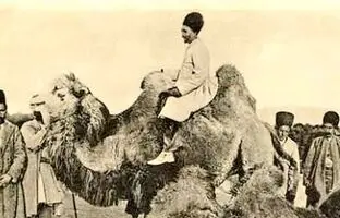 بیشترین ترافیک شترها در تهران قدیم در این خیابان بود + تصویر