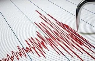 
زلزله در جنوب ایران؛ استان بوشهر لرزید
