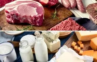 گوشت گاو طبع سرد دارد؟/ گوشت شتر؛ خوب یا بد؟