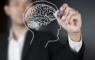 سکوت کنید تا مغزتان سلامت بماند