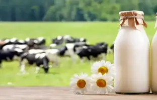  شیر ۲۷ درصد گران شد 