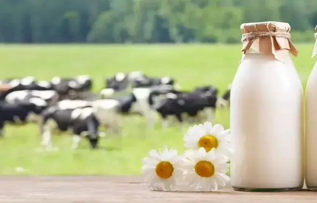  شیر ۲۷ درصد گران شد 